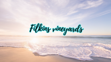 filkins vineyards