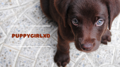 puppygirlxd